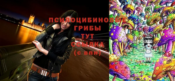 apvp Алексеевка
