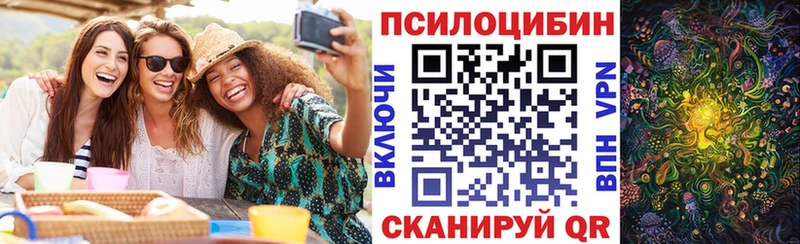ссылка на мегу онион  Томск  Псилоцибиновые грибы мухоморы 