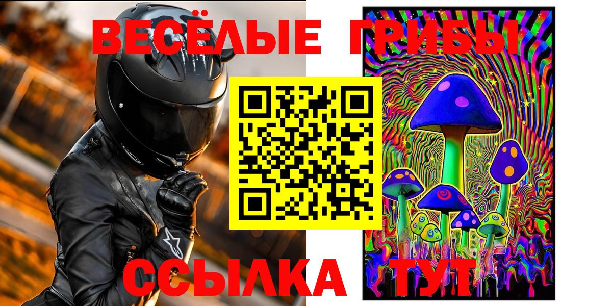 Томск  Галлюциногенные грибы Psilocybine cubensis  Галлюциногенные грибы Psilocybe  Вход с VPN 